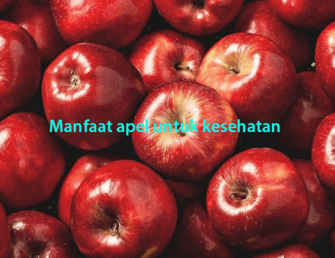 Manfaat Apel Untuk Kesehatan