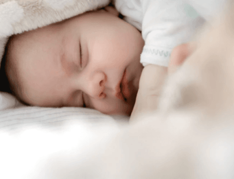 tumbuh kembang bayi