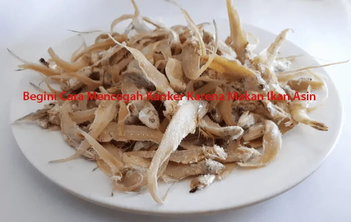 Cara Mencegah Kanker Karena Makan Ikan Asin