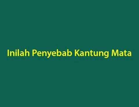 Inilah Penyebab Kantung Mata